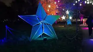 Прекрасные ❤️ и чудесные рождественские ⛄🎁 украшения 🌷 в Кью-Гардене 🏡, Лондон 🇬🇧