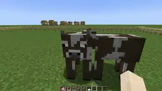 Cow Incest Farm - Poo City