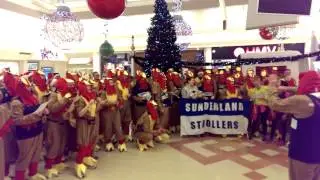 Sunderland Strollers Turkey Trot #3