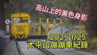 ｜高山上的黃色身影｜2025  1/25 太平山蹦蹦車紀錄