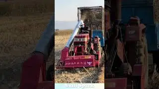 Straw recycling, quality machines boost efficiency! #machine