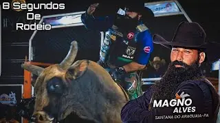 TOP 10 - Acima dos 90 PONTOS | MAGNO ALVES
