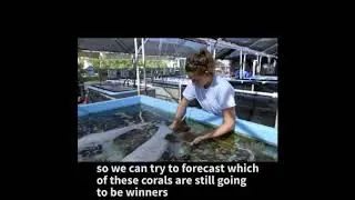 All about Corals - Dr. Vaughn
