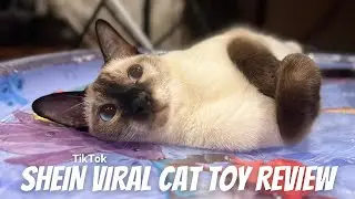SHEIN Cat Toy Review - Viral water bed