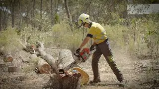 Chainsaws - Safe Cutting USA/Canada - Employee Workplace Safety Training Preview