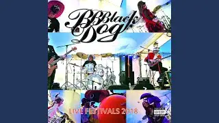 BB BlackDog (Live 2018)