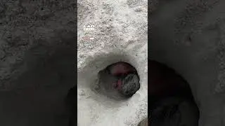 Girl tunnels through the sand on the beach