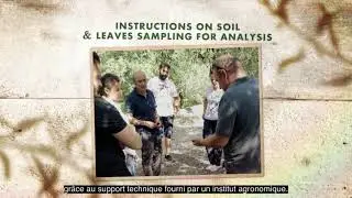 Innovative solutions in Greece: the KALYTERA program