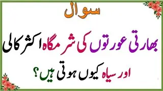 40+ Amazing General Knowledge Question in Urdu |Paheliyan in Hindi |Test our Brain with SARANG Quiz