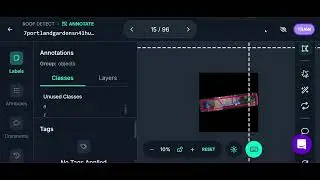 Satellite Image Annotation | Polygon & Segmentation for Roof Detection (Portfolio Sample)