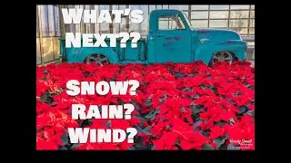 Dec. 19, 2025 Whatcom County Weather Live - What's Next? Snow? Rain? Wind?