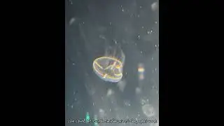 2024年6月21日
