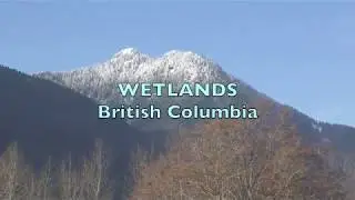 WETLANDS of BRITISH COLUMBIA 4K