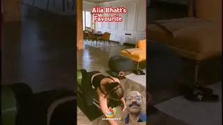 @igbollywood Alia's Daily Exercise Routine Video #shorts