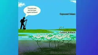 Edgar Henry Schein Organization Cultural Model | #management #icma #theory #leadership #books