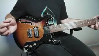 Danelectro 66-12 string Demo By Tim Nienhuis