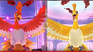 D3VZONE is LIVE  | DYNAMAX✨ HO-OH MAX BATTLES 🔥