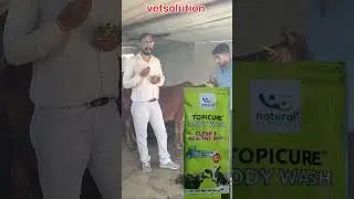 Animal shampoo how use and their benefit.
