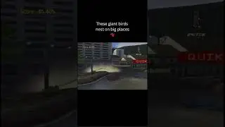 They might be giant birds #chaos #bluesky #valvegames #game #rio