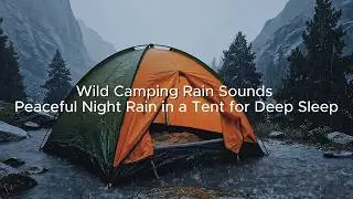 Wild Camping Rain Sounds &mdash; Peaceful Night Rain in a Tent for Deep Sleep