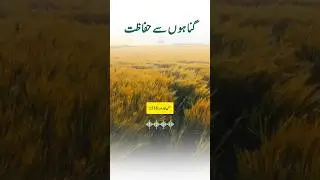گناہوں سے حفاظت🌷💖 | Best Hadees Mubarak | Hadees Nabvi ﷺ #hadees #shorts #shortsfeed