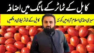 Kabul Afghanistan | Kabul Tomato 🍅 | Expensive 🔥 | Tomato of Afghanistan |  Vegetables in Islamabad