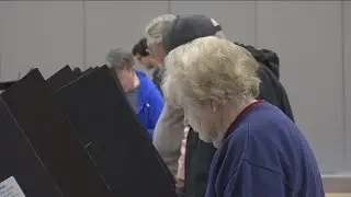 Experts weigh in on why it&rsquo;s important to vote in primary elections