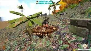 Ark Survival Evolved Creative Building - Roman Coliseum (Coliseum begins) - Stream #2