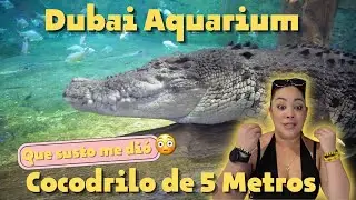 Dubai Aquarium: Este Rey Cocodrilo casi me MATA!!!!!!