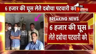 ACB Trap: Jodhpur ACB की Pali में बड़ी कार्रवाई, 6 हजार की घुस लेते दबोचा पटवारी को