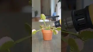 No, This is not a real plant. 3D files at the link in my bio !