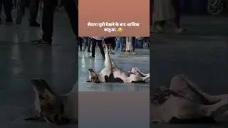 saiyaara tu to badla nhi h ✨ / saiyaara muvie song / Bollywood song / Anit padda / ahaan pandey