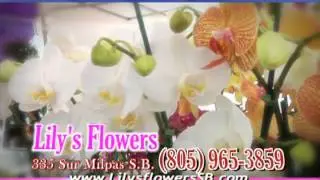 DV63H83 LILYSFLOWERS MOM2012