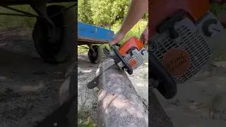 STIHL - MS 250 в роботі