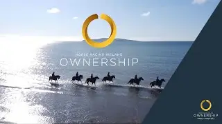 HRI Ownership, Owning in Ireland