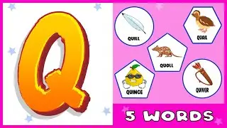 5 Words From Q | Words That Start With Letter Q For Kids | Q Words Vocabulary | Kids Learning Video