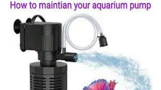 Easy maintenance aquarium filter under 500.