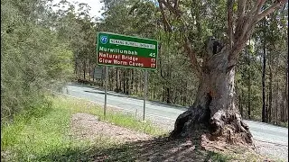 Yowie Bigfoot Hairyman Food ( Part 3 of 5 ) Numinbah Valley