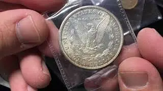 Are these coins worth submitting to NGC / PCGS? Morgan dollars, Lincoln cents, 1805 bust half dollar