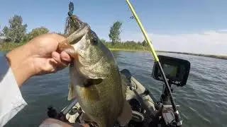 bass fishing July / Summer fishing / Kayak fishing