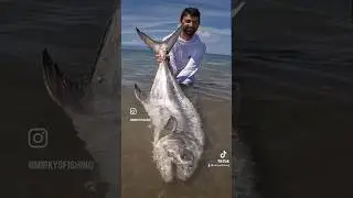 🌊♻️CATCH AND REALISE FRIENDS!💪🏻💪🏻 #shorts #fishing #pesca #fishingshorts