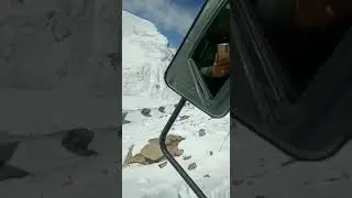 journey of soldiers on the mountain border