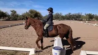 Rebecca Huerta Sedona Yuletide WE 2025 Dressage L1