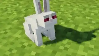 The Killer Bunny