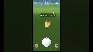Kricketot Variocolor / Pok&eacute;mon Go