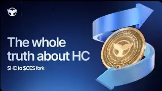 HC COIN  UPDATE || FORK  TOKON KYA HAI || HC TRADING  UPDATE #digitalrabi