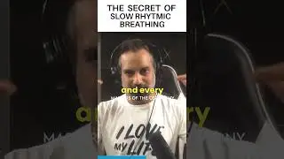 The Secret of Slow Rhythmic Breathing x Niraj Naik #shorts