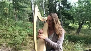 Calm In the Forest - Harp Music in the Swedish Forest