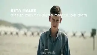COLDEST MOMENT IN MOVIE HISTORY 🥶🥶 (Land of Mine, 2015)