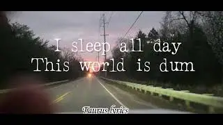 STUPID STUPID WORLD - Sylvester cash (aka talking kitty cat) lyrics 